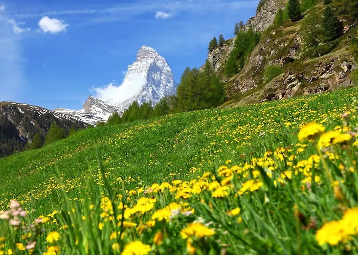 Lägenhet Grillon-3 By Interhome Zermatt