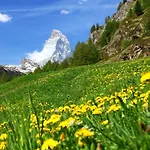 Appartement Grillon-3 By Interhome Zermatt